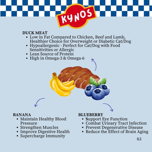 KYNOS - Duck Chips 🍌🫐 Banana & Blueberry