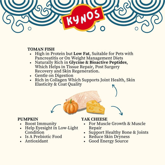 KYNOS - Fish Chips 🎃🧀Pumpkin & Yak Cheese