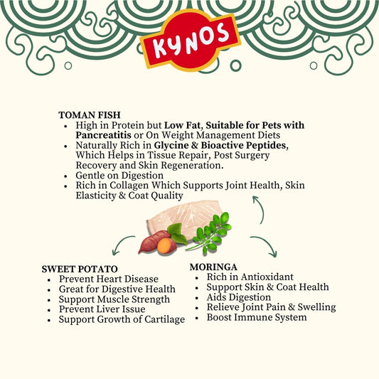 KYNOS - Fish Chips 🍠🌿Sweet Potato & Moringa