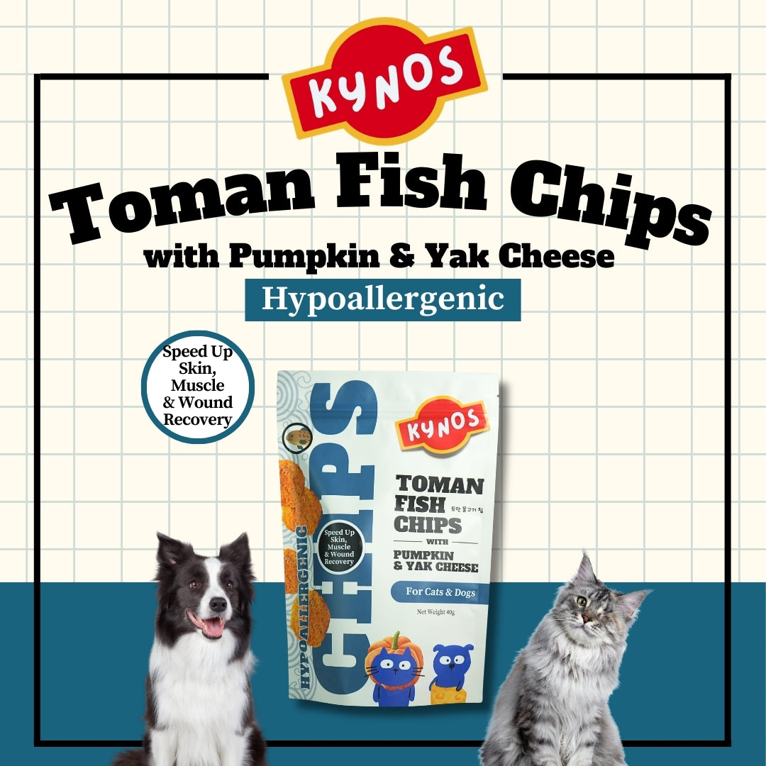 KYNOS - Fish Chips 🎃🧀Pumpkin & Yak Cheese