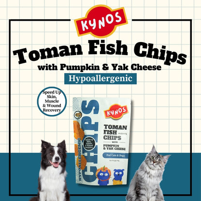 KYNOS - Fish Chips 🎃🧀Pumpkin & Yak Cheese