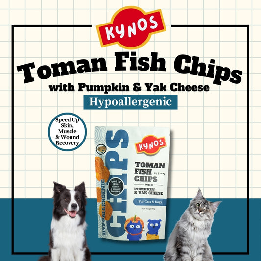KYNOS - Fish Chips 🎃🧀Pumpkin & Yak Cheese