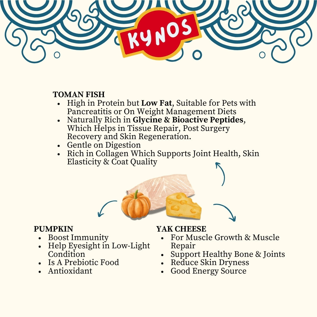 KYNOS - Fish Chips 🎃🧀Pumpkin & Yak Cheese