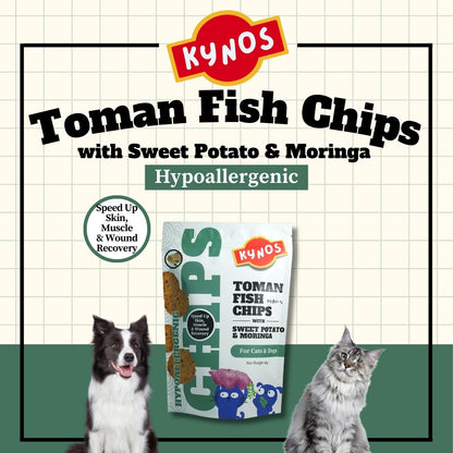 KYNOS - Fish Chips 🍠🌿Sweet Potato & Moringa