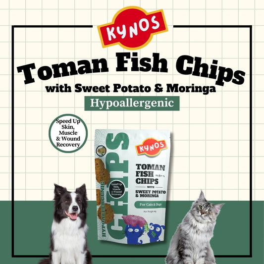 KYNOS - Fish Chips 🍠🌿Sweet Potato & Moringa