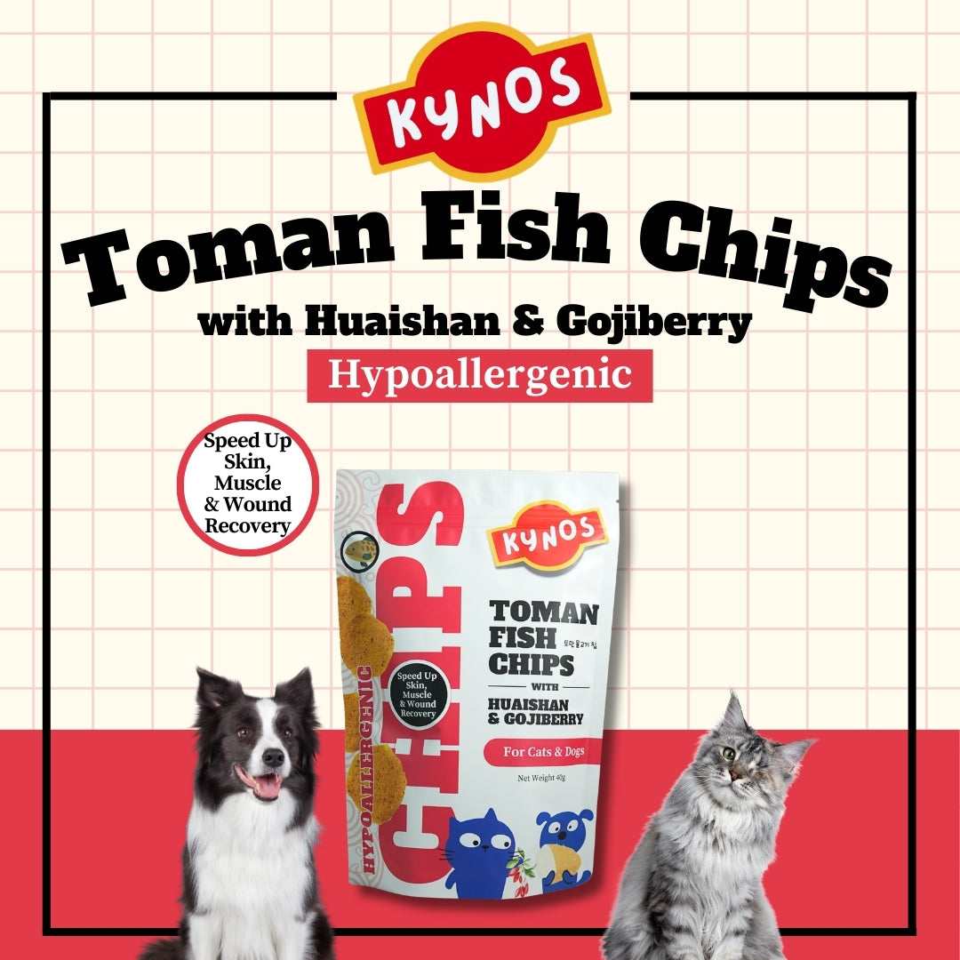 KYNOS - Fish Chips 🪾🍒Huaishan & Goji Berry