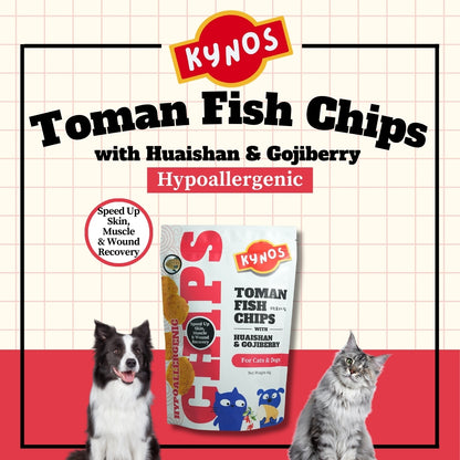 KYNOS - Fish Chips 🪾🍒Huaishan & Goji Berry