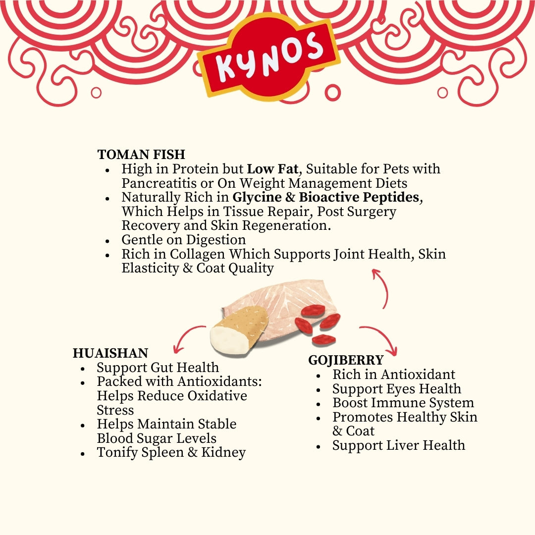 KYNOS - Fish Chips 🪾🍒Huaishan & Goji Berry