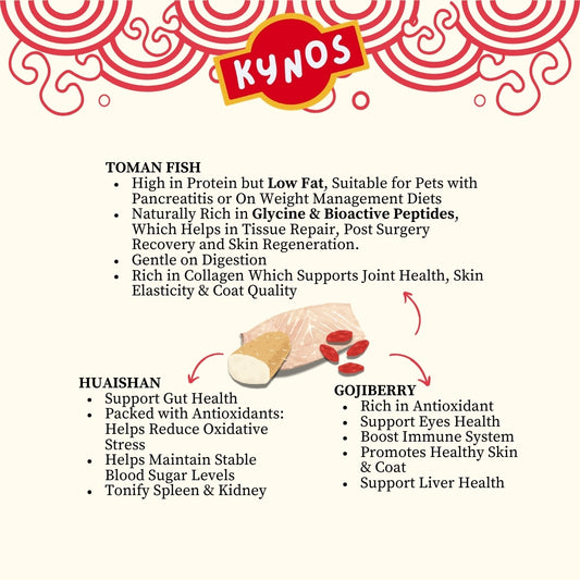 KYNOS - Fish Chips 🪾🍒Huaishan & Goji Berry