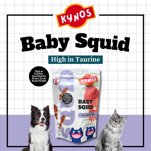 KYNOS - Baby Squid