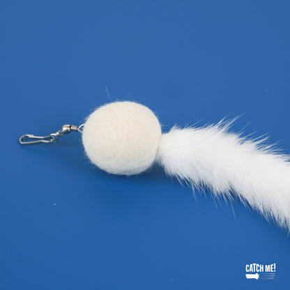 Catch Me! Bugs Cat Teaser