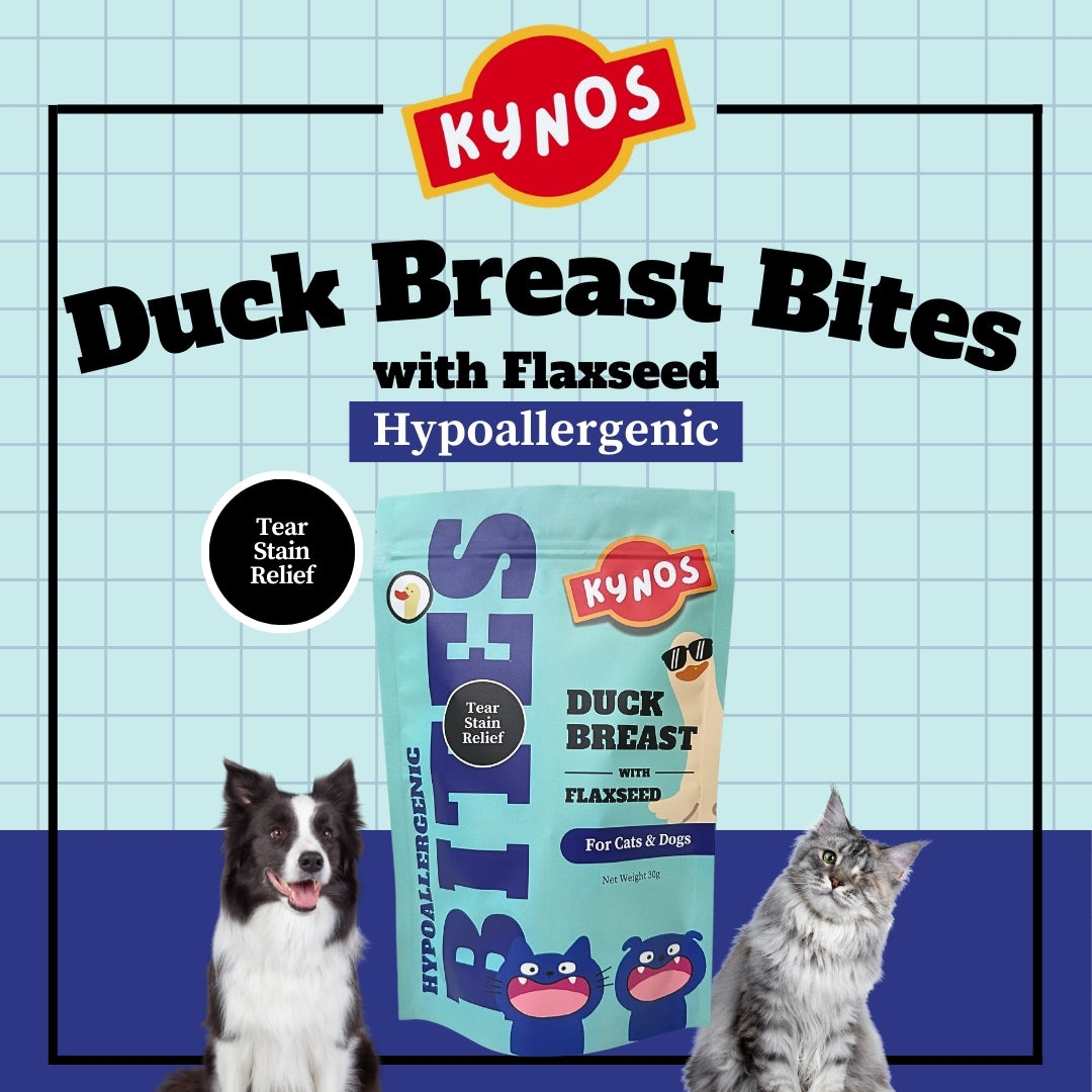 KYNOS - Duck Bites