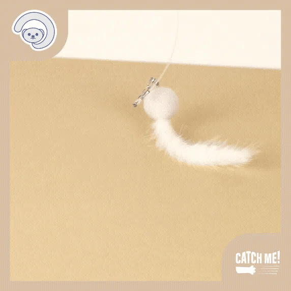 Catch Me! Bugs Cat Teaser