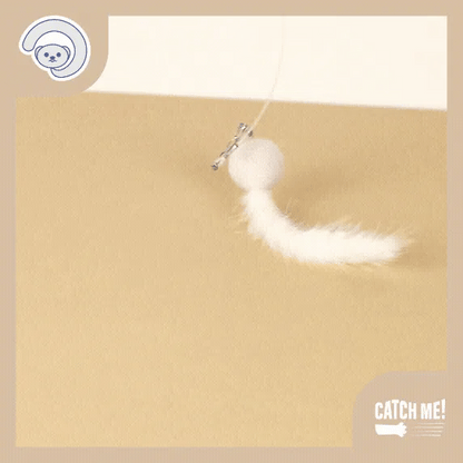 Catch Me! Bugs Cat Teaser