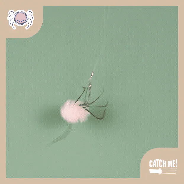 Catch Me! Bugs Cat Teaser