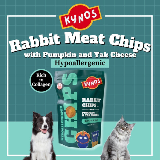 KYNOS - Rabbit Chips 🎃🧀Pumpkin & Yak Cheese