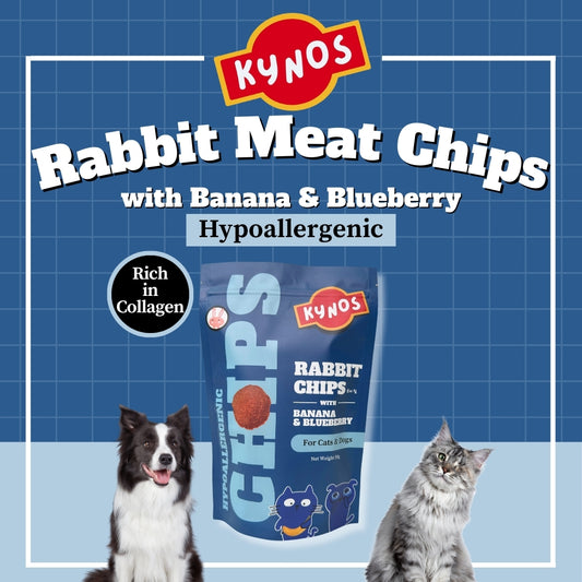 KYNOS - Rabbit Chips 🍌🫐 Banana & Blueberry