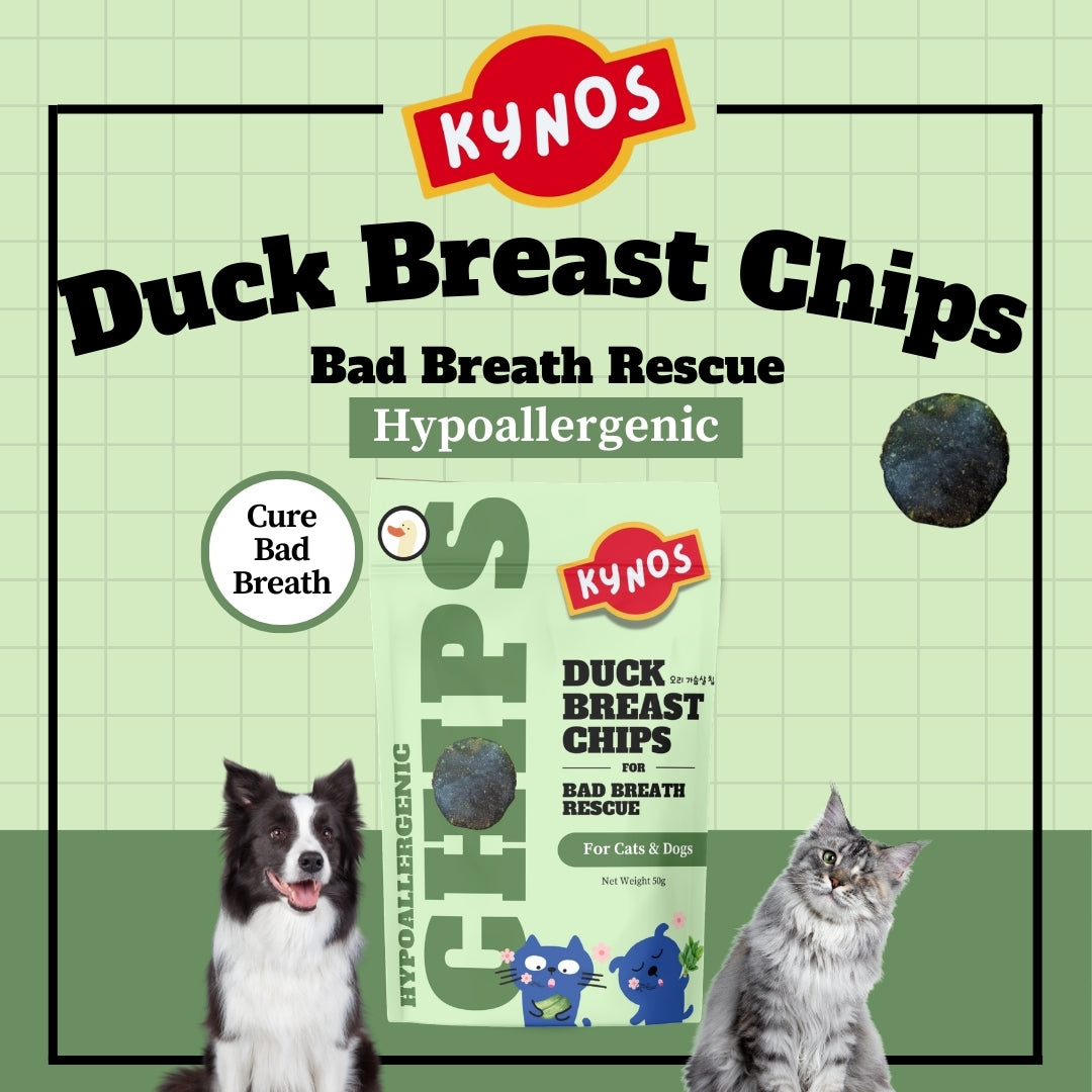 KYNOS - Duck Chips 🦷🪥 Bad Breath Rescue