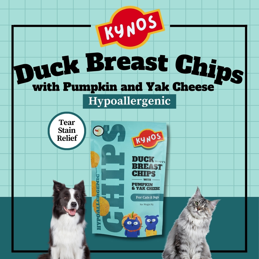 KYNOS - Duck Chips 🎃🧀Pumpkin & Yak Cheese
