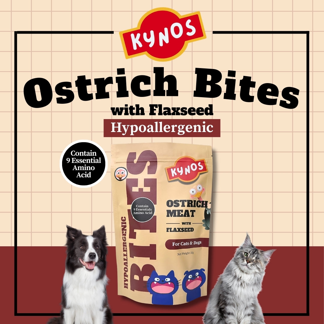 KYNOS - Ostrich Bites