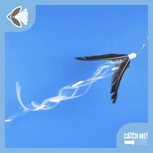 Catch Me! Auditory Cat Teaser