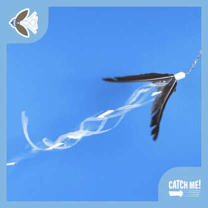 Catch Me! Auditory Cat Teaser