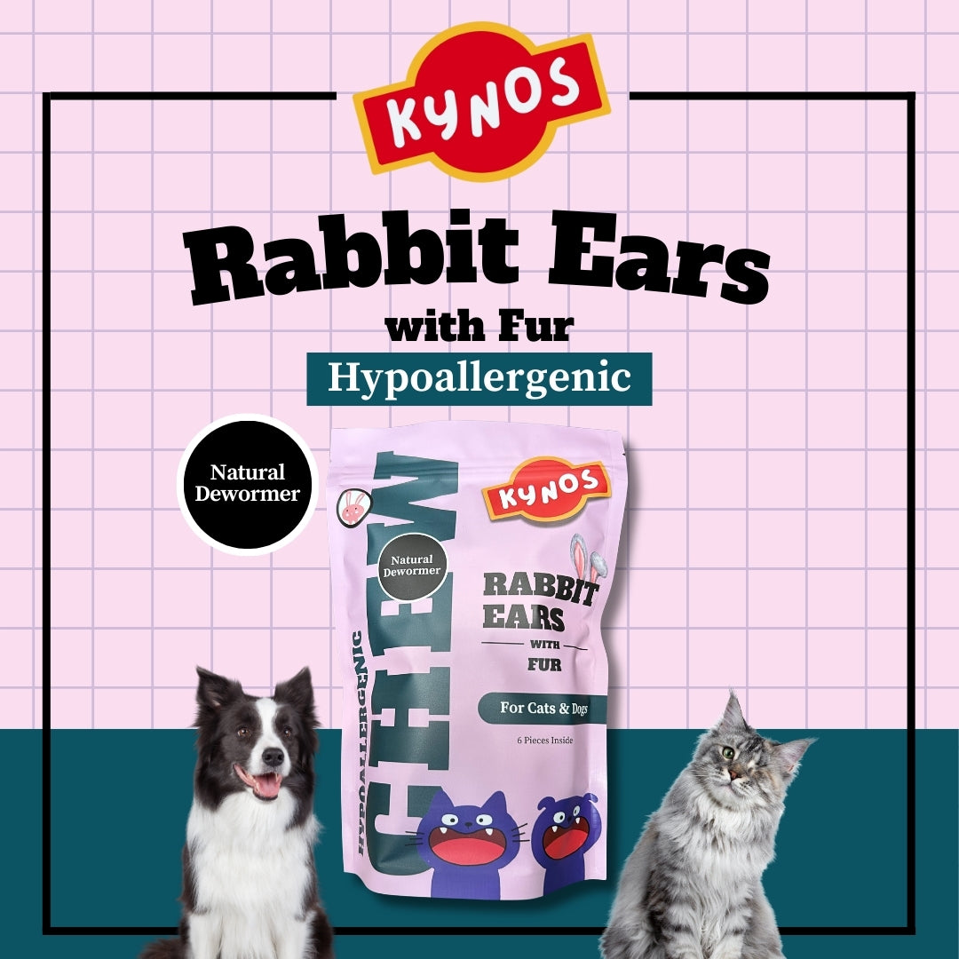 KYNOS - Rabbit Ears