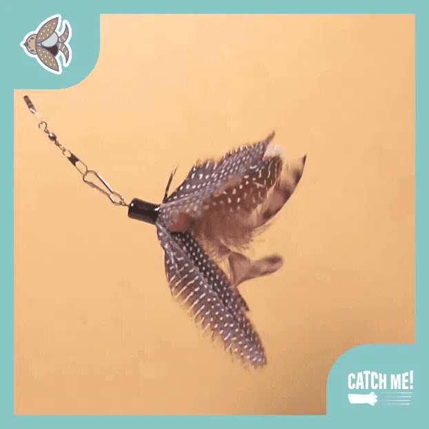 Catch Me! Spinning Cat Teaser