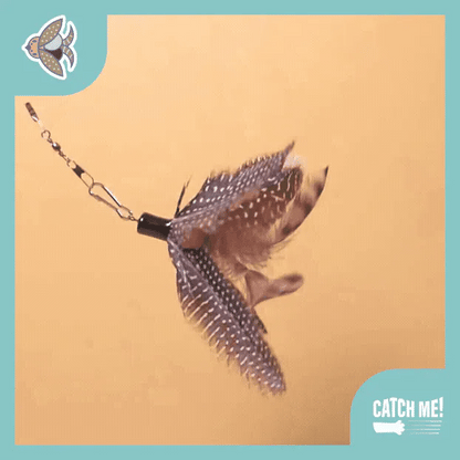 Catch Me! Spinning Cat Teaser
