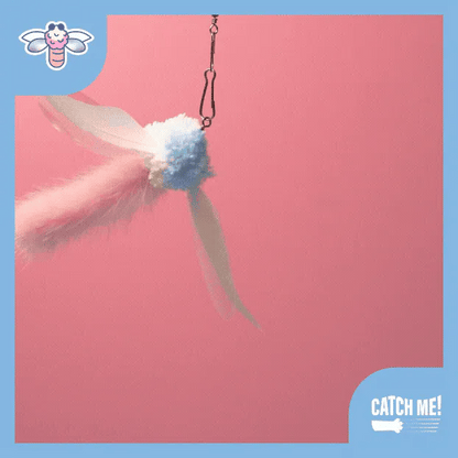 Catch Me! Auditory Cat Teaser