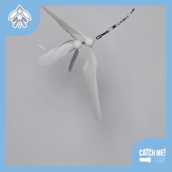 Catch Me! Auditory Cat Teaser