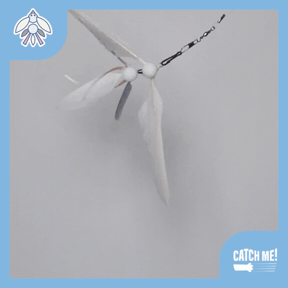 Catch Me! Auditory Cat Teaser