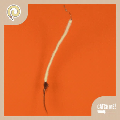 Catch Me! Bugs Cat Teaser